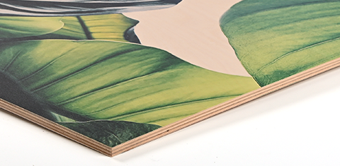 Birkefinér 9 mm (lys bund) - Fotograf Henrik Espensen Birkefinér 9 mm plade med lys bund til print af fotos fra fotograf i Randers Fotograf Henrik Espensen