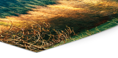 Fine Art Giclée Mat Fine Art papir 230 g - Fotograf Henrik Espensen Fine Art Giclée Mat Fine Art 230 g papir til print af fotos fra fotograf i Randers Fotograf Henrik Espensen