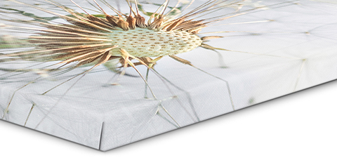 Lærred 18mm blindramme - Fotograf Henrik Espensen Lærred 18mm med blindramme til print af fotos fra fotograf i Randers Fotograf Henrik Espensen